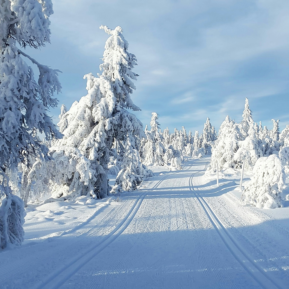 Embracing Winter in Montana
