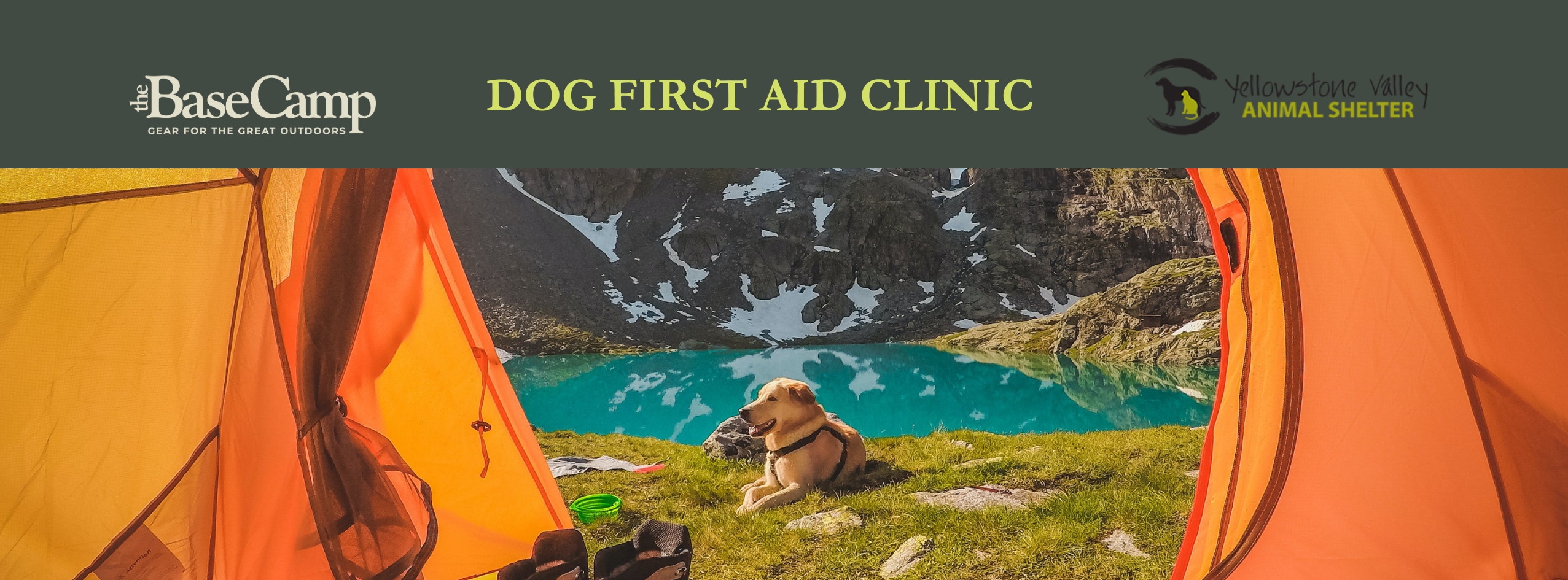 Dog First Aid with Yellowstone Valley Animal Shelter